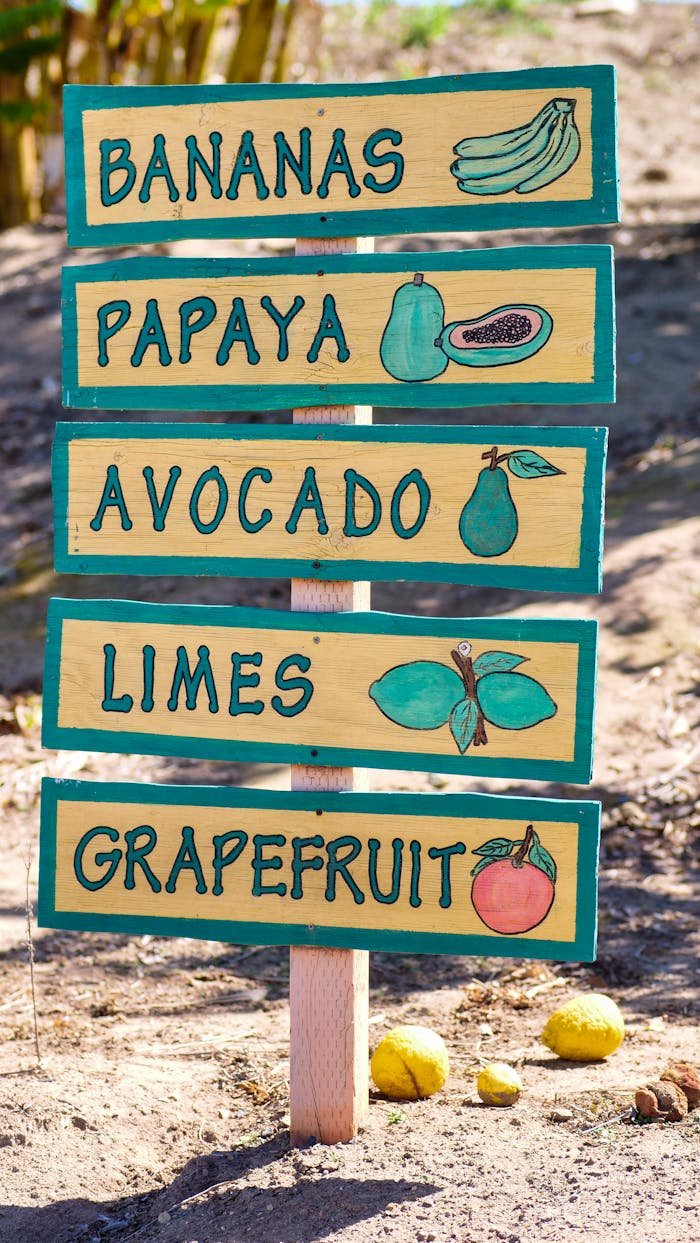 portfolio-img-04 Wooden signpost displaying various fresh fruits in a rural farm setting.